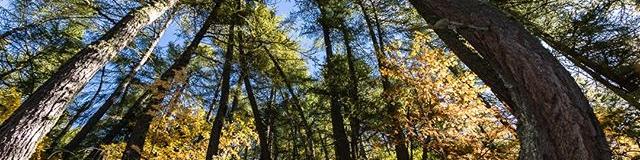 Instagram photographies.nature