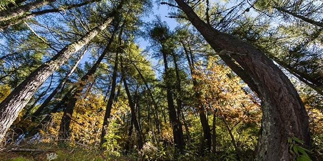 Instagram photographies.nature