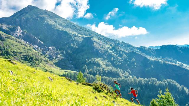 Trailchampsaur Bd©agencekros Remifabregue (7 Sur 51)