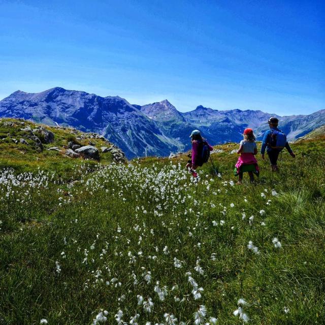 Instagram #champsaur