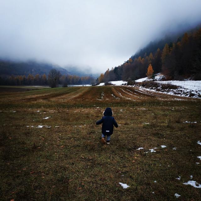 Instagram #champsaur