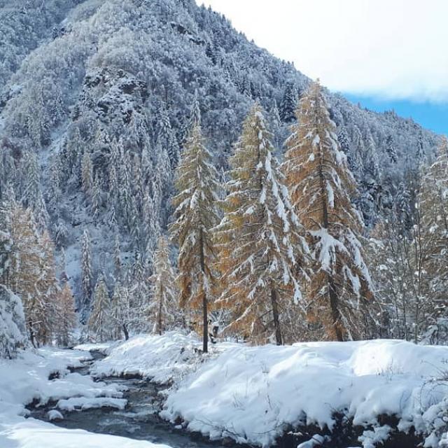 Instagram #champsaur