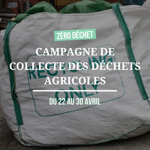 Blanc Vert Moderne Collecte De Dechets Post Instagram