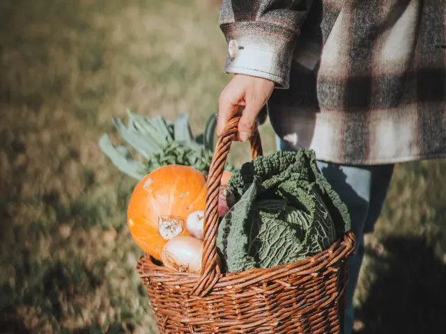 Panier de légumes Champsaur Valgaudemar