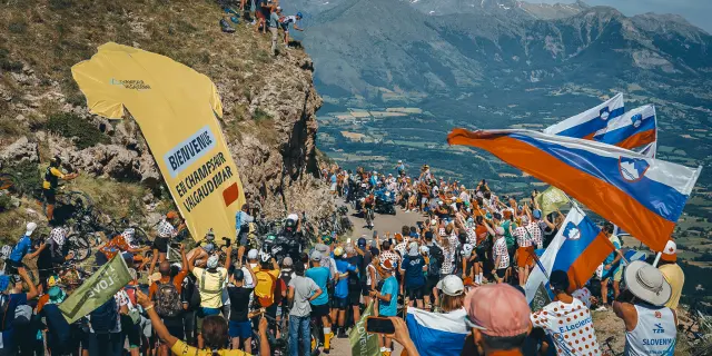 Tour de France Noyer