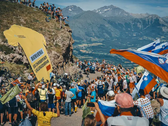Tour de France Noyer